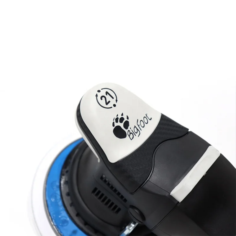 RUPES LHR21III Big Foot Random - Orbital Polisher Da 评论和价格